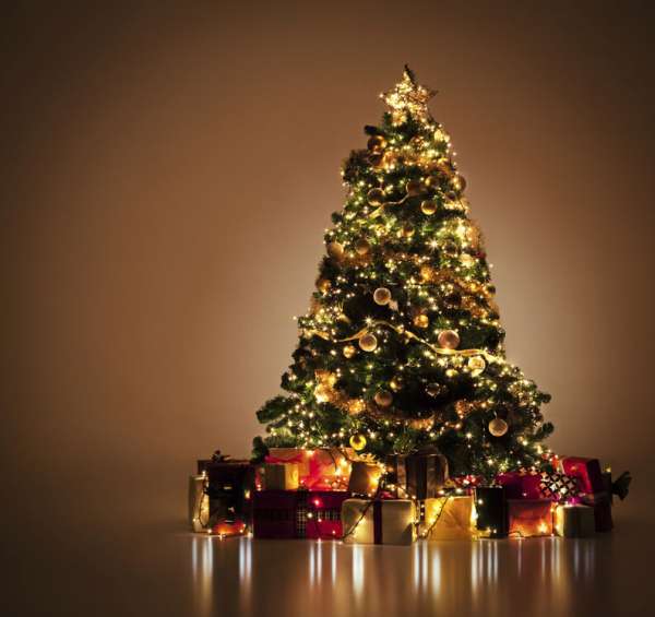 Terminó la Navidad ¿Qué hacer con el árbol?