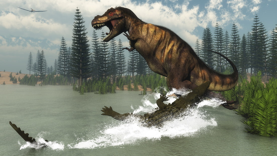 Como Se Llaman Los Dinosaurios Marinos